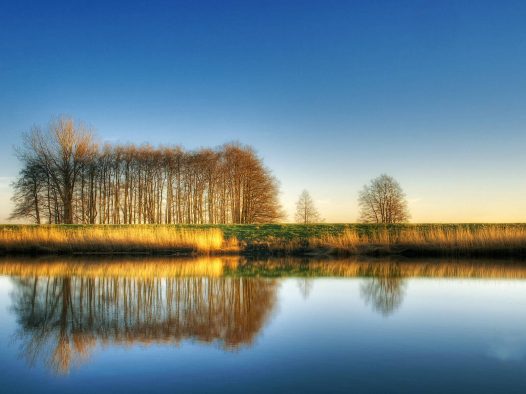 王赫野 姚晓棠-虹之间/最后一页+李佳薇-天后